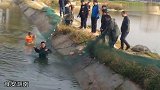 黑坑老板现在学乖了，每次放鱼时都要拍发视频给钓友们、诚信为本