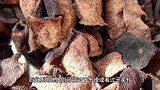 陈皮怎么选择好坏