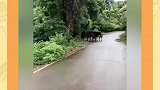 小家伙没有一点点防备