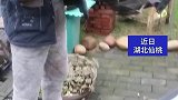 男子回收老旧沙发时，意外发现许多硬币