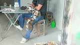 湖南小伙这是怎么了，腿上全是猫