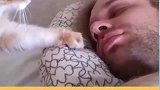 猫咪为什么喜欢在你睡觉时过来闻一闻你的脸？