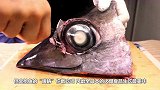金枪鱼“眼睛”你敢吃吗？风靡全日本的火爆食品，生吃最美味！