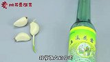 大蒜加上花露水效果你真想象不到！解决了千家万户的烦恼！进来学