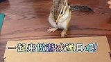 一起来做游戏道具吧！