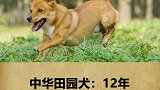 你知道它们能陪你多久吗