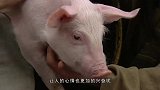 还记得“好彩妹”吗？导演为了请她拍戏，将整个剧组搬到她家附近