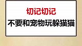 喵的，把我吓得虎躯一震！