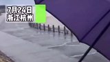 台风“烟花”来袭，请不要拿生命开玩笑！台风 浙江 杭州