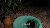 美女野外生活，制作地下豪宅，入口竟然是一个小洞