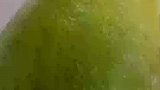 网购柚子全是皮，果肉还没橘子大