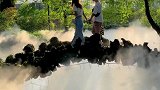 跟随镜头来到武汉植物园，走进爱丽丝仙境，感受一场极光盛宴