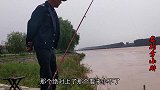 黄河泄洪涨水，大爷钓鱼憋坏了，突然窜出大翘嘴激动坏了