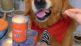狗狗都爱吃的牛肉罐头，吃起来就是香！
