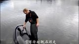 虎鲸搁浅，救助人员只能不断安慰它，等待大海起潮