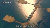 我国最大养鸡场废物再利用，瞬间解决世界难题，多国纷纷效仿！
