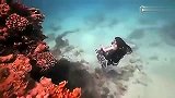 旅游---水下创意表演 坐轮椅的红发美人鱼_clip
