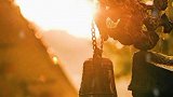 你若平和，无人可恨，你若不究，无人能扰。烦恼本无根，不捡自然无，困惑本无源，不究自轻松。#禅茶一味 #茶生活