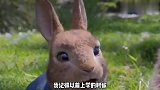 你还记得哪些顺口溜？