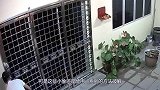 牛人设计“隐形门”，关上门的那一刻，小偷都找不到破绽！