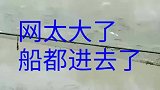 网太大了，船都能进去了