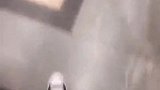 美女走错厕所了还是我们走错了