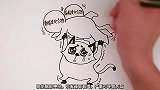 喵！驱蚊产品可能会杀死喵星人