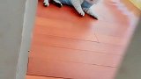 说出来丢人，被一只猫堵了