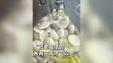 台风过后，海边涌现大量海鲜，生蚝扇贝铺满一地，市民：都是活的