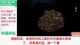 外国人看中国：李子柒制作“川菜之魂”豆瓣酱，吸引海外网友热议