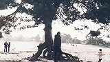 人是远的，心是近的。祝友友们在2020年事事顺心如意!