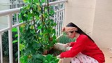 小姐姐这应该是我今年最成功的一次投资了，现在邻居都要提前预约