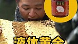 传统手工采摘，悬崖上的美味