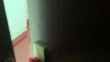 猫：铲屎的把被子给我盖上，我怕着凉了！