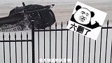爆笑视频：终于见到狗子的不易了