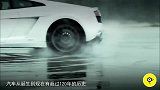 世界上最奇葩的轮胎, 里面长苔藓, 边跑边净化空气!
