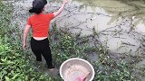 美女的捕鱼利器，几个废弃瓶子丢下水，结果捕获的全是大肥鱼