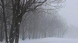 河北迎大降温+雨+小雪！4地入冬了！