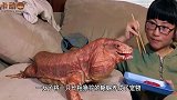 铲屎官教小狐狸走路，一松手就想往主人怀里钻，简直萌翻了