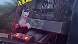 这难道就是布娃娃吗