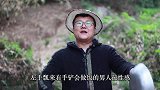 五斤土鲫鱼，做一份“豆豉鲫鱼”鱼刺酥脆，不吐骨头，一口一条