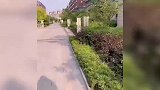 搞笑合集：你怕是有那个大病，这都能看腻嘛！哈哈哈哈嗝