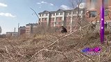 男友出轨分手后却发现自己怀孕，女子决定独自抚养女儿缘来不晚