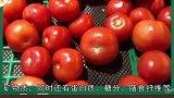 西红柿生吃和熟吃到底哪个好？失之毫厘，差之千里，请认真看