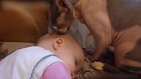 高冷猫咪是这么变暖的原来是小主人太可爱，太有爱了！