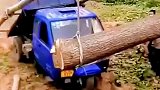 农民为三轮车添加双臂，三轮车瞬间轻松抬大树