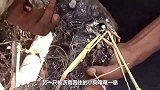 狗狗被沥青困住奄奄一息！被好心人解救后，从此走向狗生巅峰