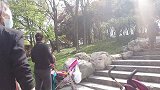 大唐芙蓉园免费游园了，不来期待，来了又后悔！