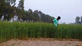 国外搞笑合集,弹吉他竟然听晕三个人,这弹得有多难听啊