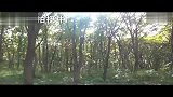 日本旅游-20111216-去日本大森林里野炊吧